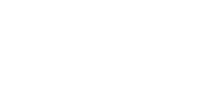 Demochic logo